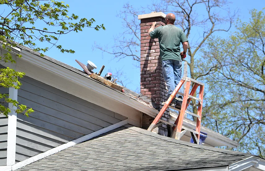 Chimney & Fireplace Inspections Services in Dixon, CA